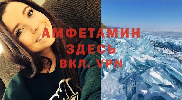 ГАЛЛЮЦИНОГЕННЫЕ ГРИБЫ Осташков