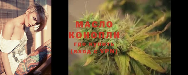 PSILOCYBIN Ельня