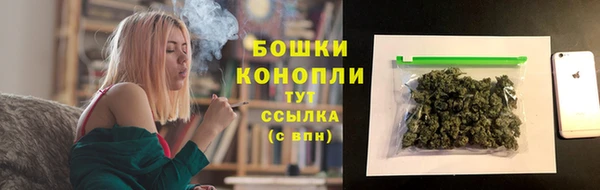 ГАЛЛЮЦИНОГЕННЫЕ ГРИБЫ Осташков