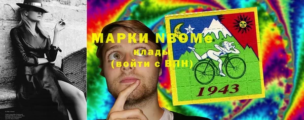 PSILOCYBIN Ельня